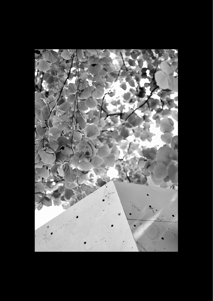 Images et tests Camp4 2024.