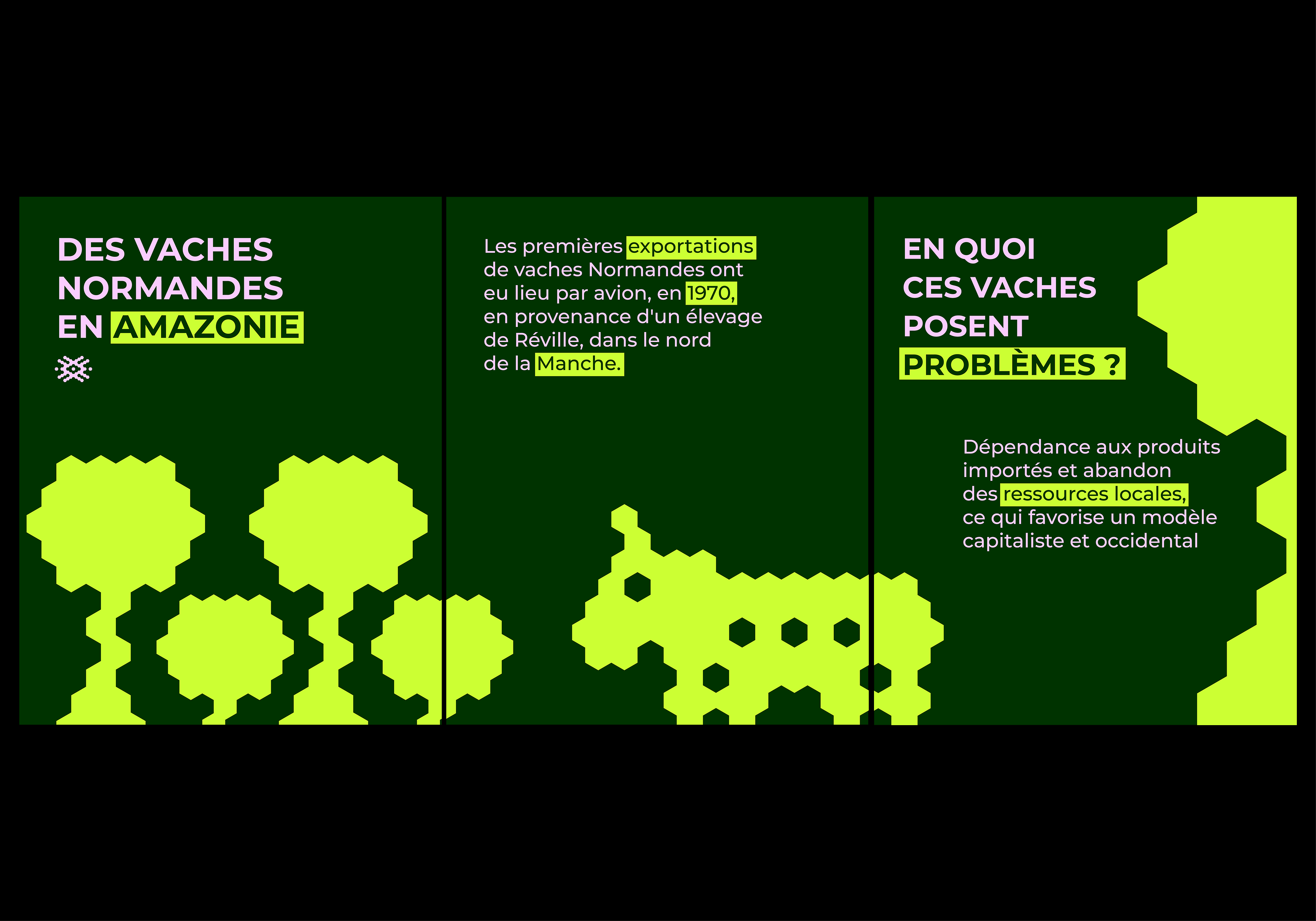 Identité visuelle et déclinaisons pour la communication d'HAWAYENAN.