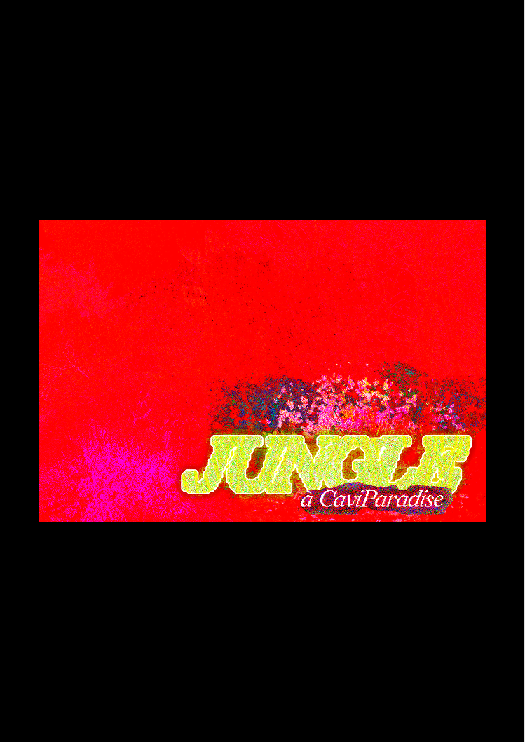 Jungle V2