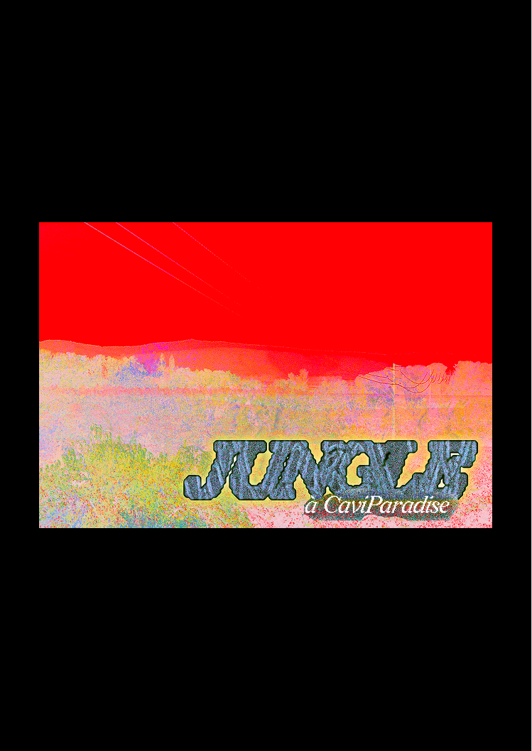 Jungle V3.