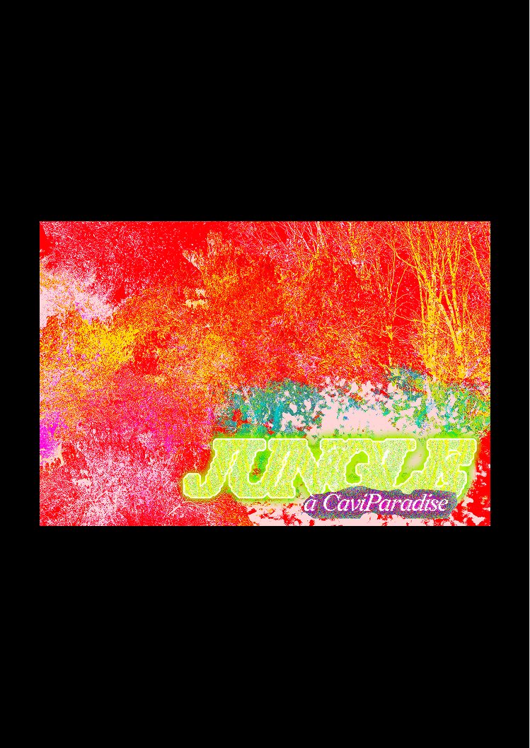 Jungle V4.