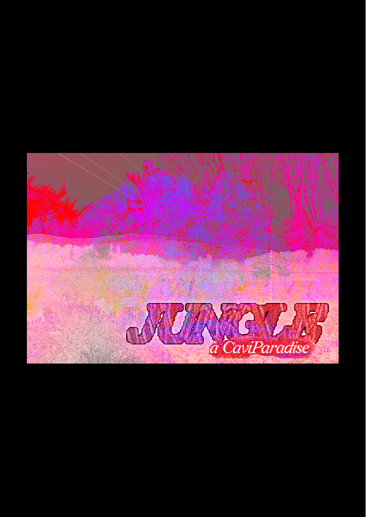Jungle V5.