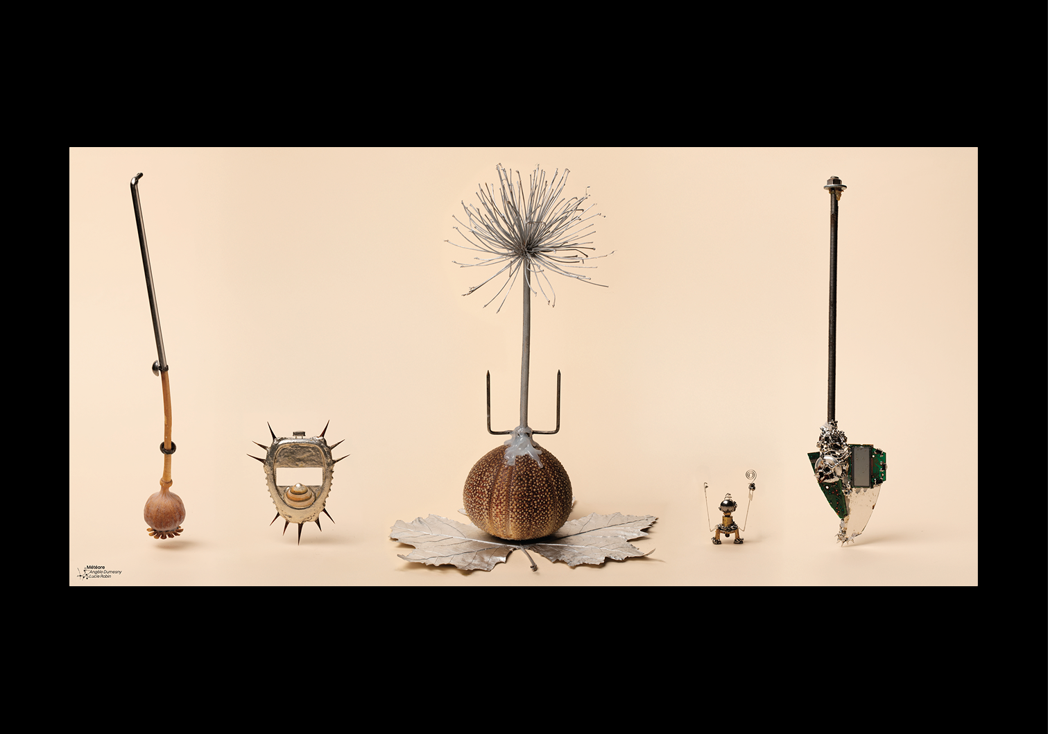 Objets découverts lors des fouilles archéologiques des scientifiques et sociologues de la Bulac.
