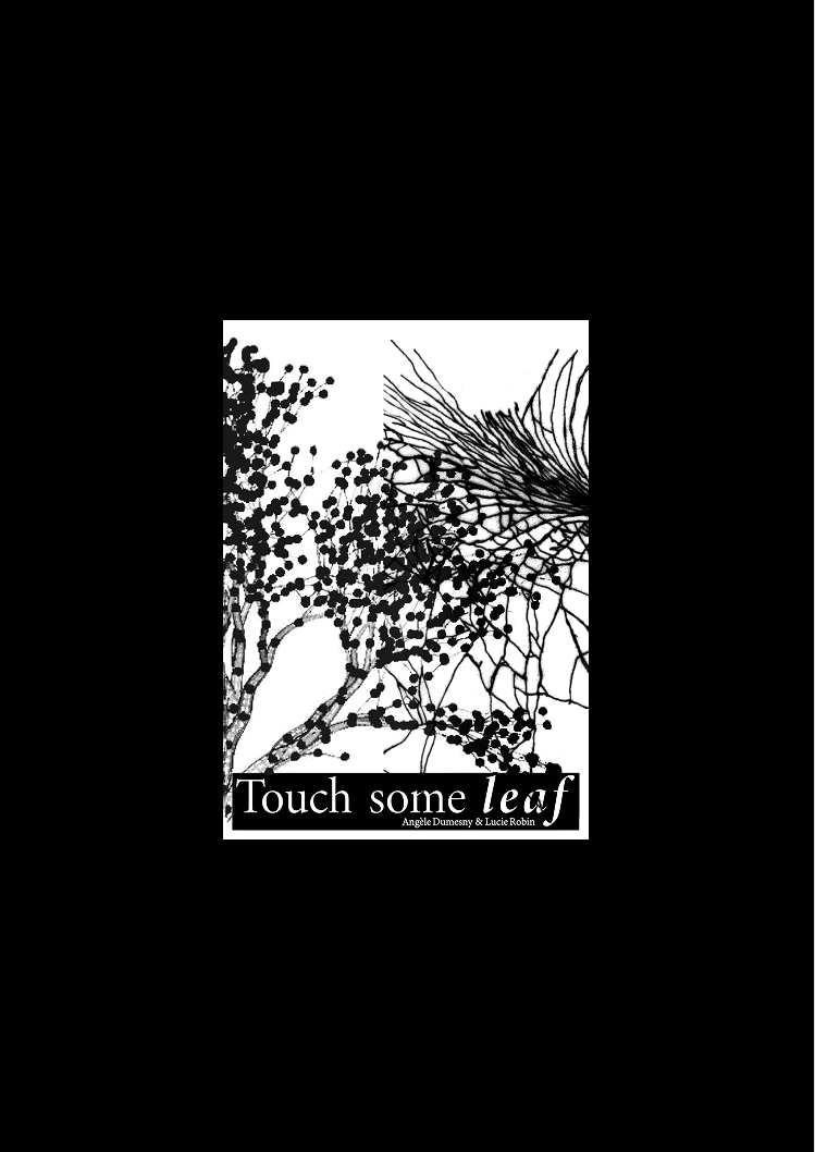 Touch some leaf. Restitution des écritures et recherche graphique.