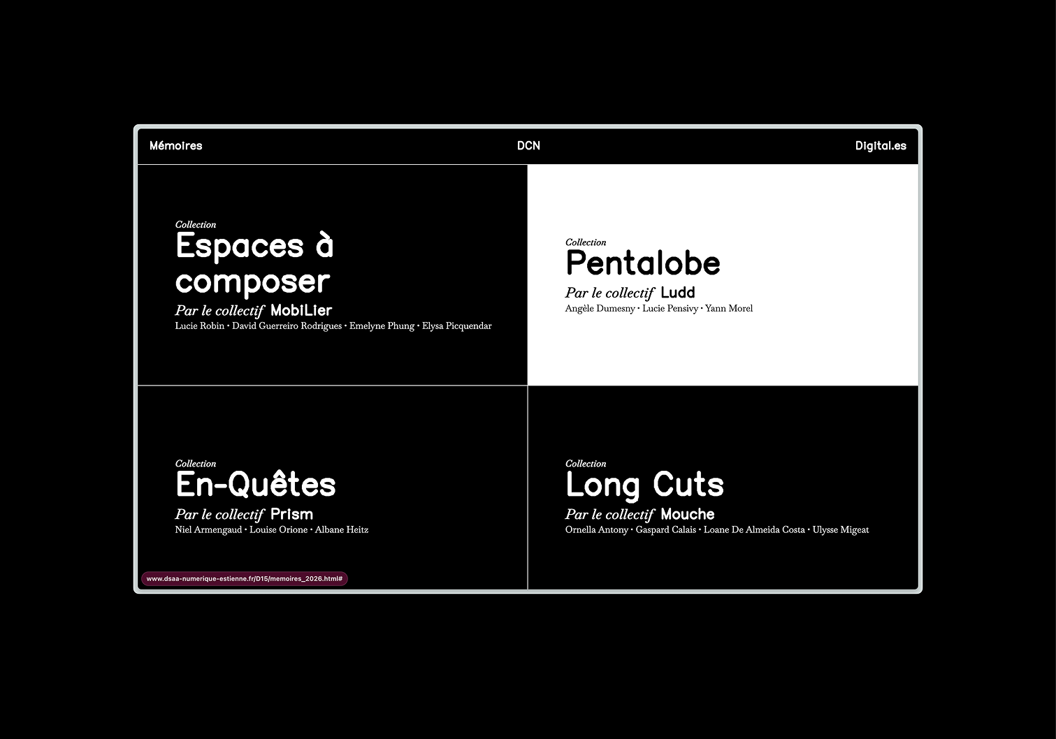 Capture d'écran du site de la formation DCN.