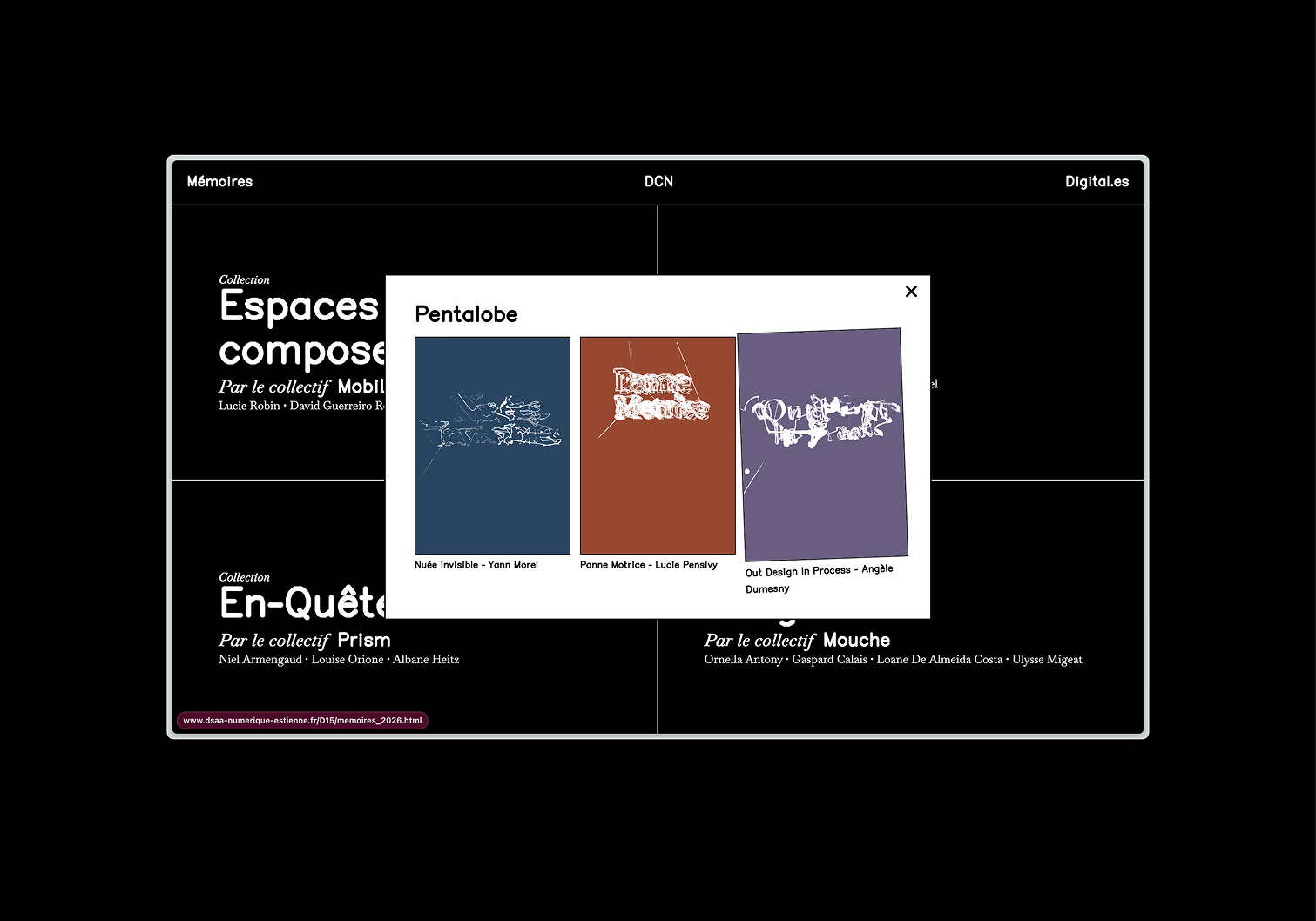 Capture d'écran du site de la formation DCN.